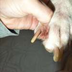 Hautproblem-Beitrag-Bild