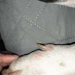 Hautproblem-Beitrag-Bild