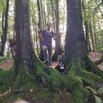 Ersteller:in Sarah Profilbild