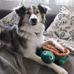 Ersteller:in Anne Profilbild