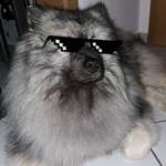 Ersteller:in Kristina Profilbild