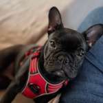 Ersteller:in Cynthia Profilbild