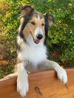 Pause an der Bank-Beitrag-Bild