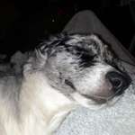 Ersteller:in Talisa Profilbild