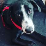 Ersteller:in Lara Profilbild