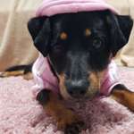 Ersteller:in Xenia Profilbild