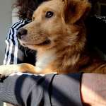 Ersteller:in Birgit Profilbild