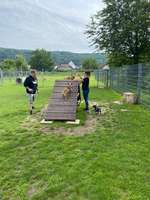 Hundeauslaufgebiet-Hundeauslaufplatz Unkel-Bild