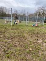 Hundeauslaufgebiet-Hundeauslaufplatz Unkel-Bild