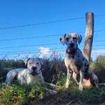 Ersteller:in Katha Profilbild