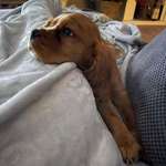 Ersteller:in Maddy Profilbild