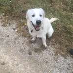 Ersteller:in Theresa Profilbild