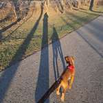 Ersteller:in Helene Profilbild