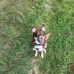 Ersteller:in Anna Profilbild