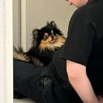 Camping vorbereiten, was brauchen wir damit es gut klappt?-Beitrag-Bild