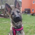 Ersteller:in Markus Profilbild