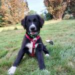 Ersteller:in Kathrin Profilbild