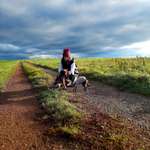 Ersteller:in Daniela Profilbild