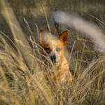Ersteller:in Nadine Profilbild