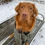 Ersteller:in Laura Profilbild