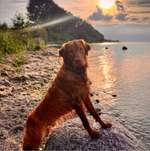 Ersteller:in Laura Profilbild