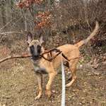 Ersteller:in Kim Profilbild