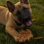 Ersteller:in Kim Profilbild