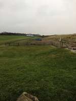 Hundeauslaufgebiet-Deichtrift-Bild