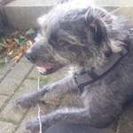 Ersteller:in Mina Profilbild