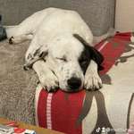 Ersteller:in Ramona Profilbild