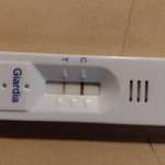 Hilfe bei Ergebnisdeutung Giardientest-Beitrag-Bild