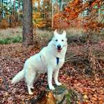 Ersteller:in Nita Profilbild