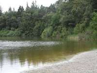 Hundeauslaufgebiet-Silbersee-Bild