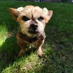 Ersteller:in TI Profilbild