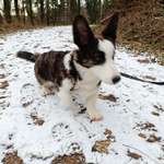 Ersteller:in Sven Profilbild