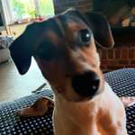 Ersteller:in Ramona Profilbild