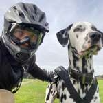 Ersteller:in Hardy Profilbild