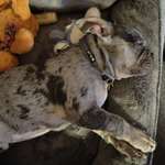 Ersteller:in Jennifer Profilbild