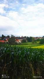 Hundeauslaufgebiet-Übers Wasserwerk-Bild