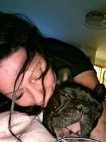 Suchmeldung-Stella-Bild