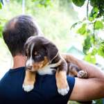 Ersteller:in Daniel Profilbild