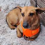 Ersteller:in Anja Profilbild