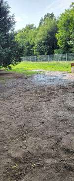 Hundeauslaufgebiet-Freilauffläche Hinter der Rennbahn-Bild