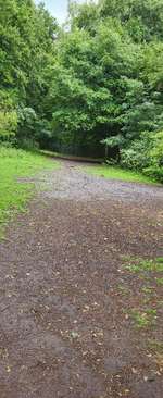 Hundeauslaufgebiet-Hundefreilauf 'Am Sodenmatt'-Bild