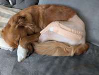 Plexustraume Radialisparese-Beitrag-Bild