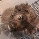 Ersteller:in Vanesita Profilbild