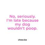 Dinge, die nur Hundemenschen tun und bei denen alle anderen denken: „bist du noch ganz sauber?"-Beitrag-Bild