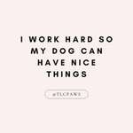 Dinge, die nur Hundemenschen tun und bei denen alle anderen denken: „bist du noch ganz sauber?"-Beitrag-Bild