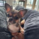 Ersteller:in Katrin Profilbild