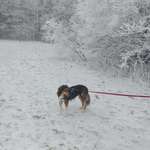 Ersteller:in Gisela Profilbild